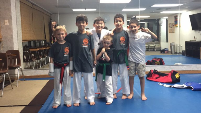 World Champion Taekwondo For Children