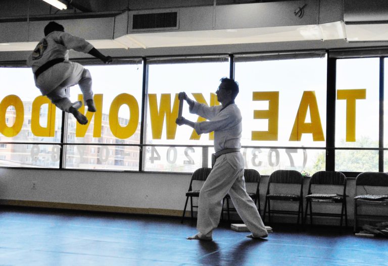 World Champion Taekwondo For Adults