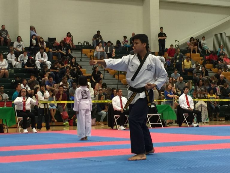 World Champion Taekwondo Adult Programs