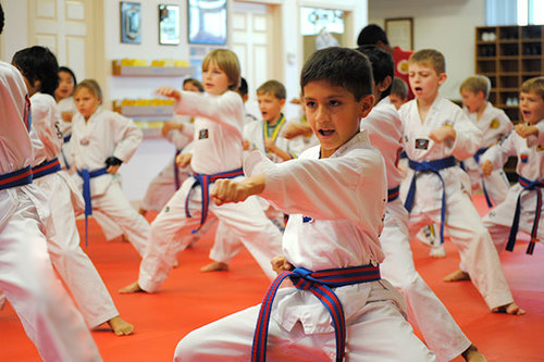 World Champion Taekwondo Children Programs